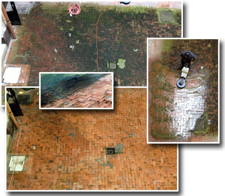 Kosziba és Társa - Udvartakarítás